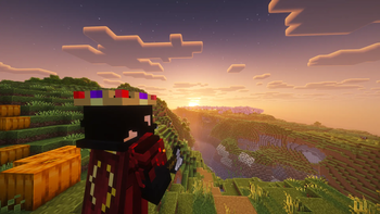 Screenshot #17