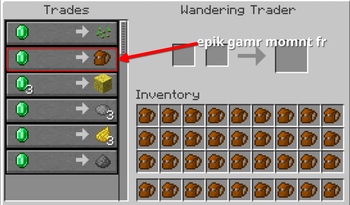 Wandering Trader Backpack Trade