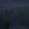 Jungle panorama