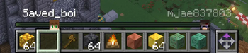 Skins and Nametags enabled