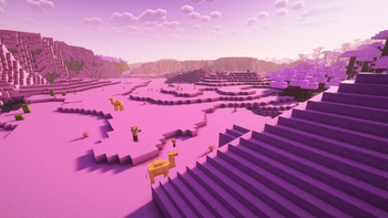 Eternal Pyramid