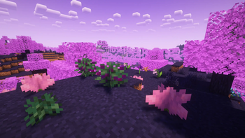 Purple Berry Bush