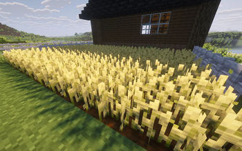 farm2