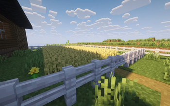 farm