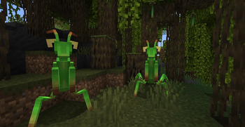 Mantises
