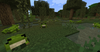 Quirky Frogs