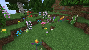Floating Blossom
