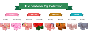 Maples Pigs Front Banner