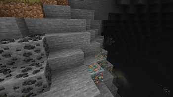 Coal Ore and Copper Ore in Cave Mouth