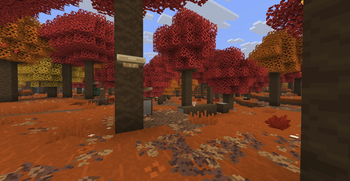 Dapled Forest