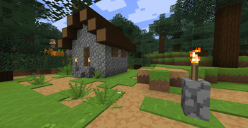 A village house
