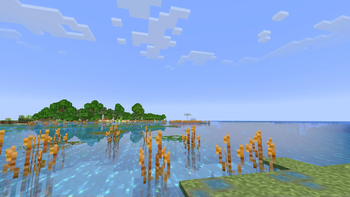 Sea