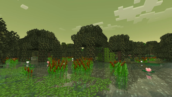 Swamp