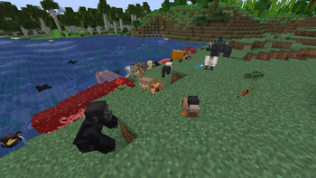 more animals