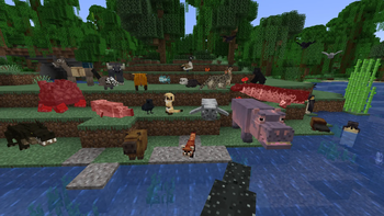 more animals