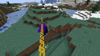 flexible chains and zippleines