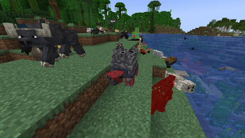 more animals