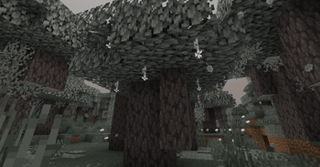 Blooming Pale Oak Tree