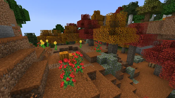 Pumpkin Pastures Pic