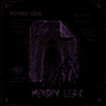 Memory Leak