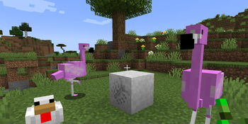 A Rock Salt Fossil block with some flamingos