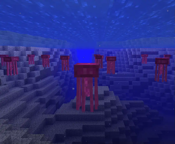 Jellyfish