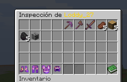 INVSEE