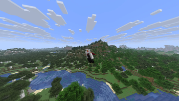 Flying Animation