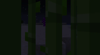 no_texture