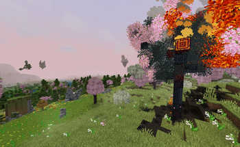 Tree on a Hill