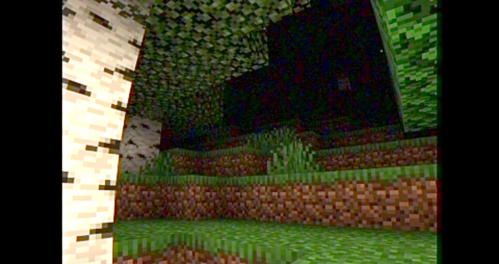 Nighttime birch forest