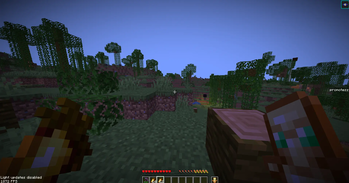 DonutSMP