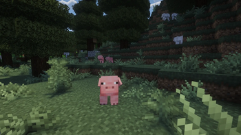 New pig texture