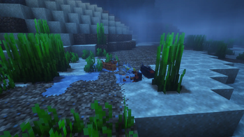 New fish