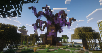 Witch Tree