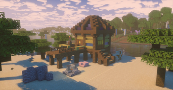 Beach House