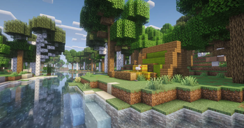 Forest