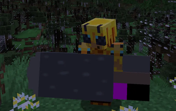 Seally Seals! — screenshot 1
