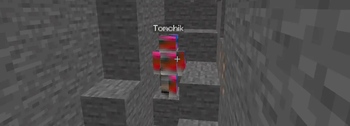 Tomchik Mod — screenshot 1