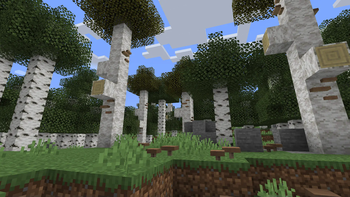 Birch Forest Additions!