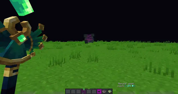Without the Resource Pack