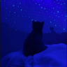 yMiau
