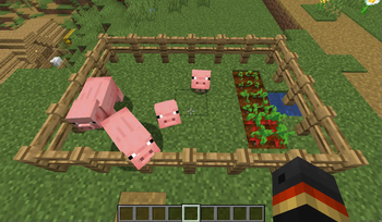 Working with different type of crops