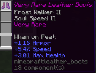 Very Rare Leather Boots