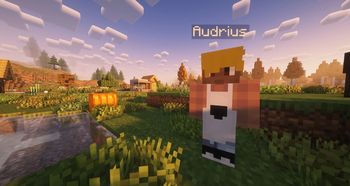 Human villagers