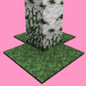 Mossy Biomes