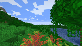 Jungle Plants