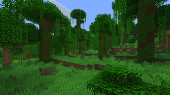 Jungle