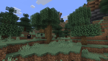 Windswept Forest