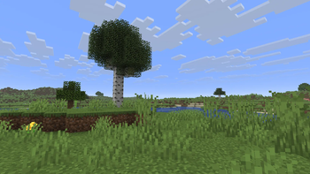 Plains